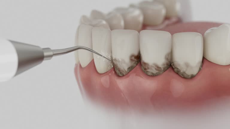 Reliable Dental contractor in Bay St. Louis, MS by Dentist Open Now